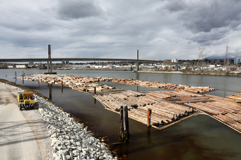 Illustration for article titled Pics from the Curbside: 2018-03-25 to St. Edwards Crossing